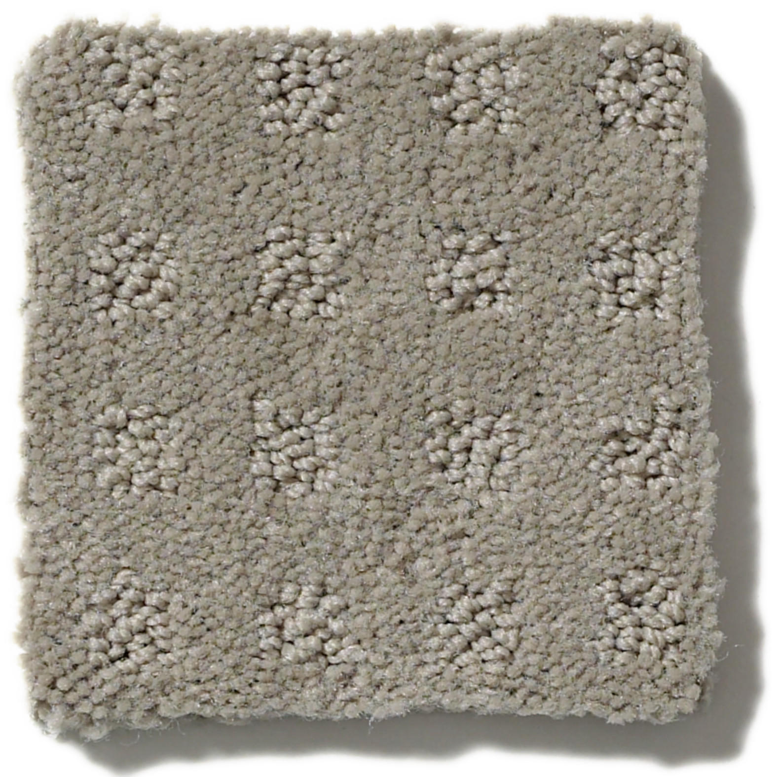 ALLURING DISPOSITION LADY IN GRAY SWATCH