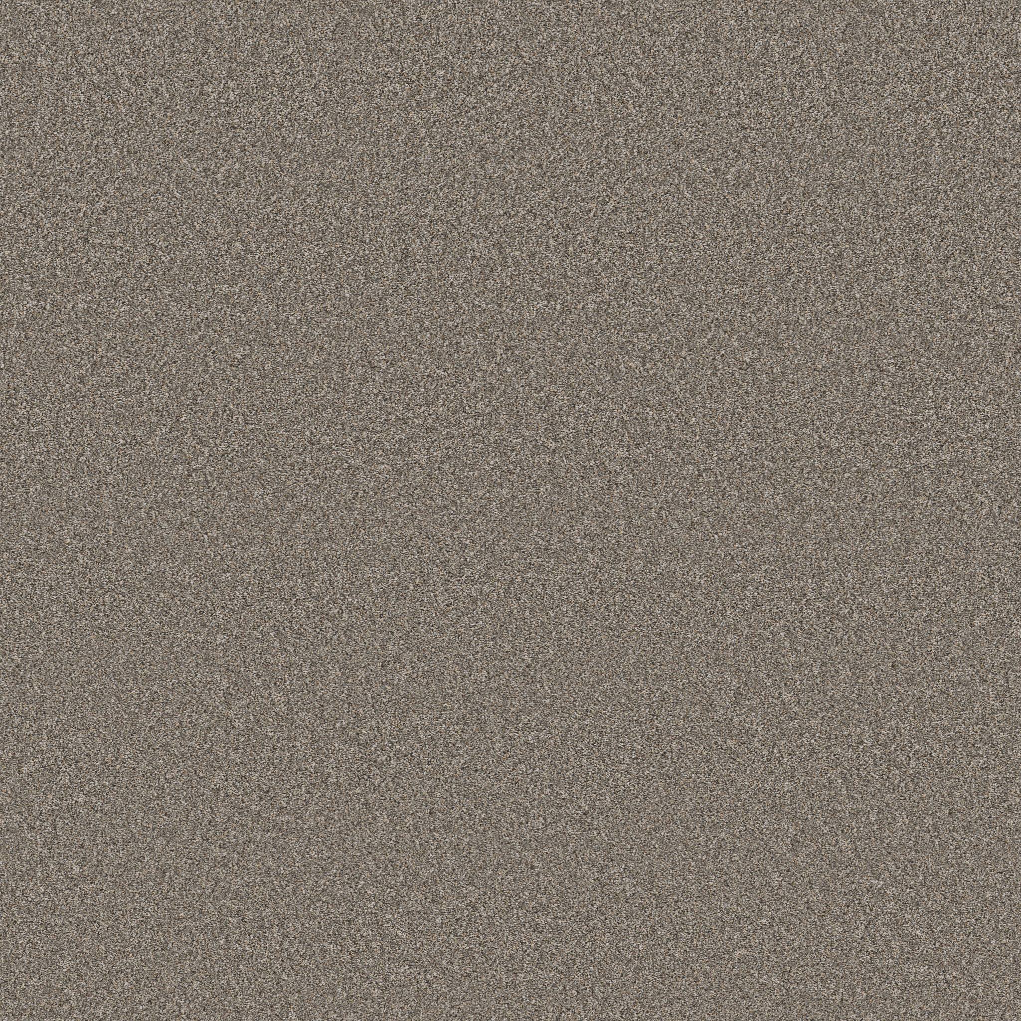 BLENDED TOUCH II 5E886 - 00731 | Shaw Floors BLENDED TOUCH II 5E886 - 00731 | Shaw Floors
