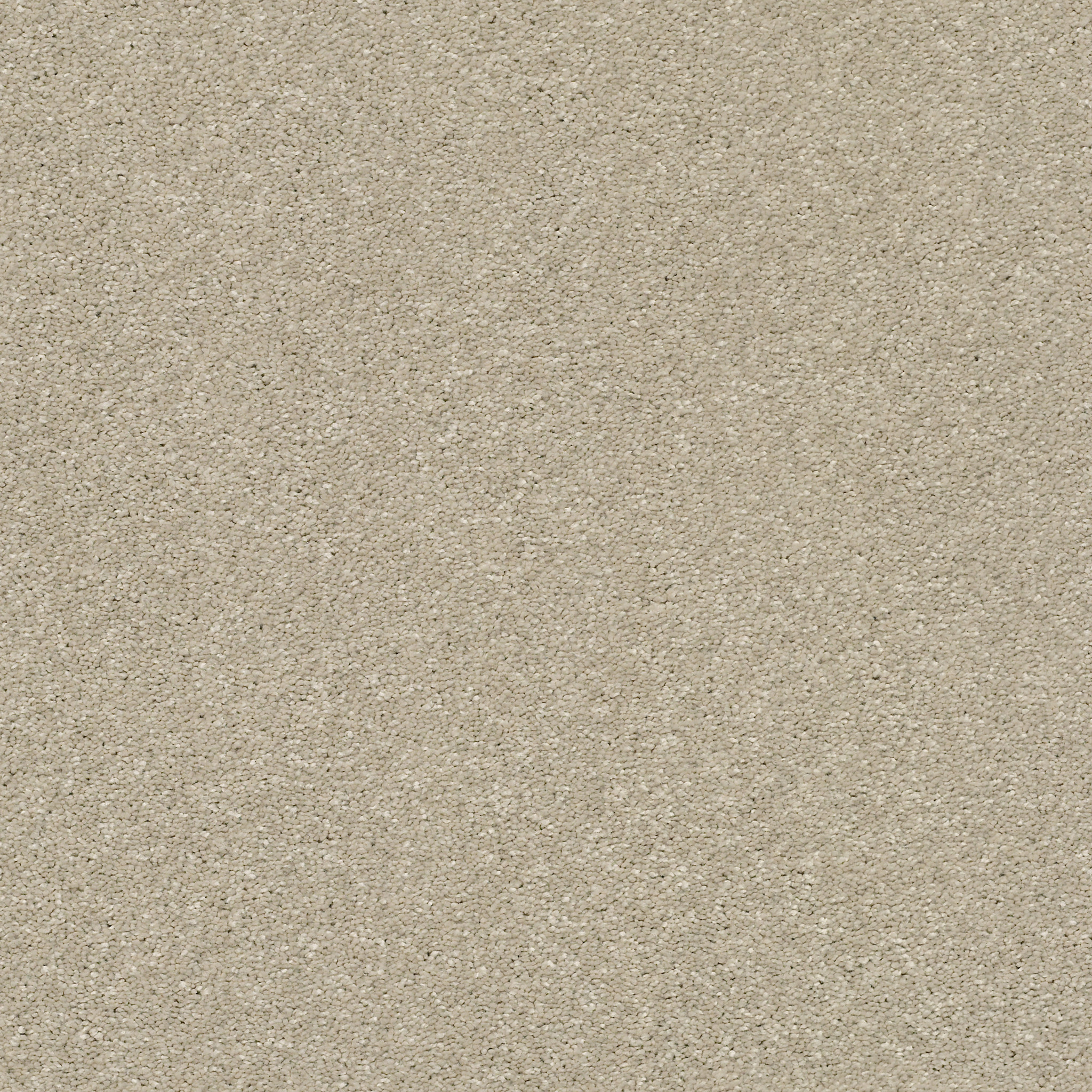 BASIC RULES VICUNA MAIN