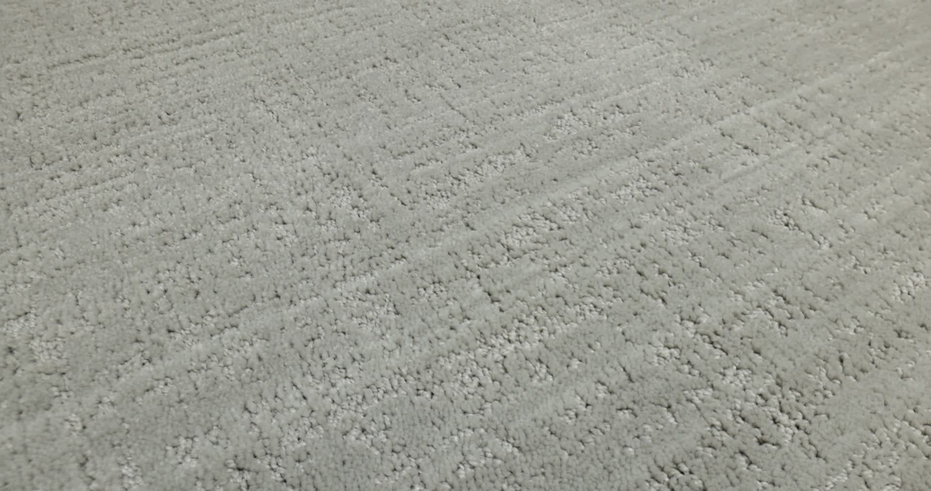 Shady Stroll - Greige Mist Carpet | Shaw Floors