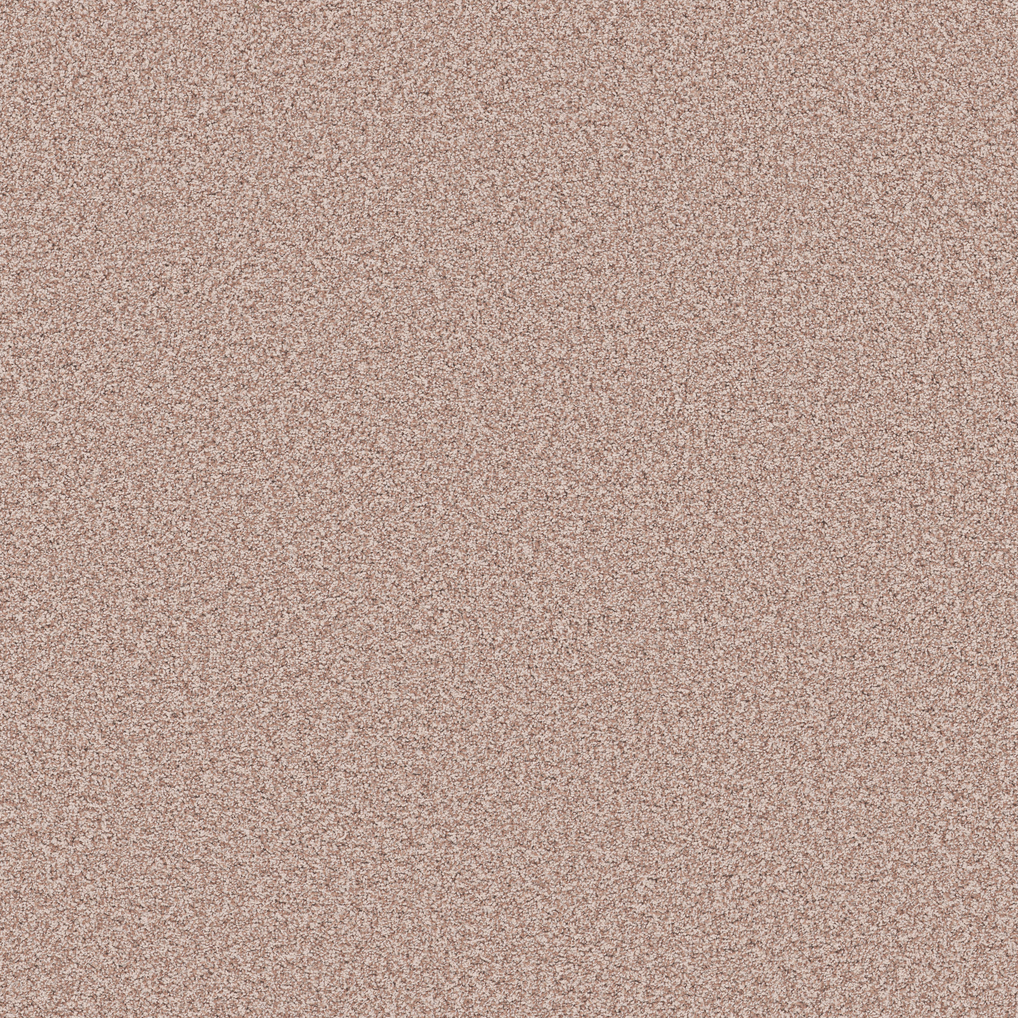 BELLA NOVA FLORA MAIN