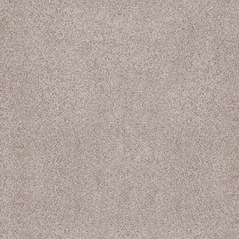 Sumptuous II Broadloom Carpet in Patio Stone color, 12ft width, made of 100% nylon, accent cut pile texture