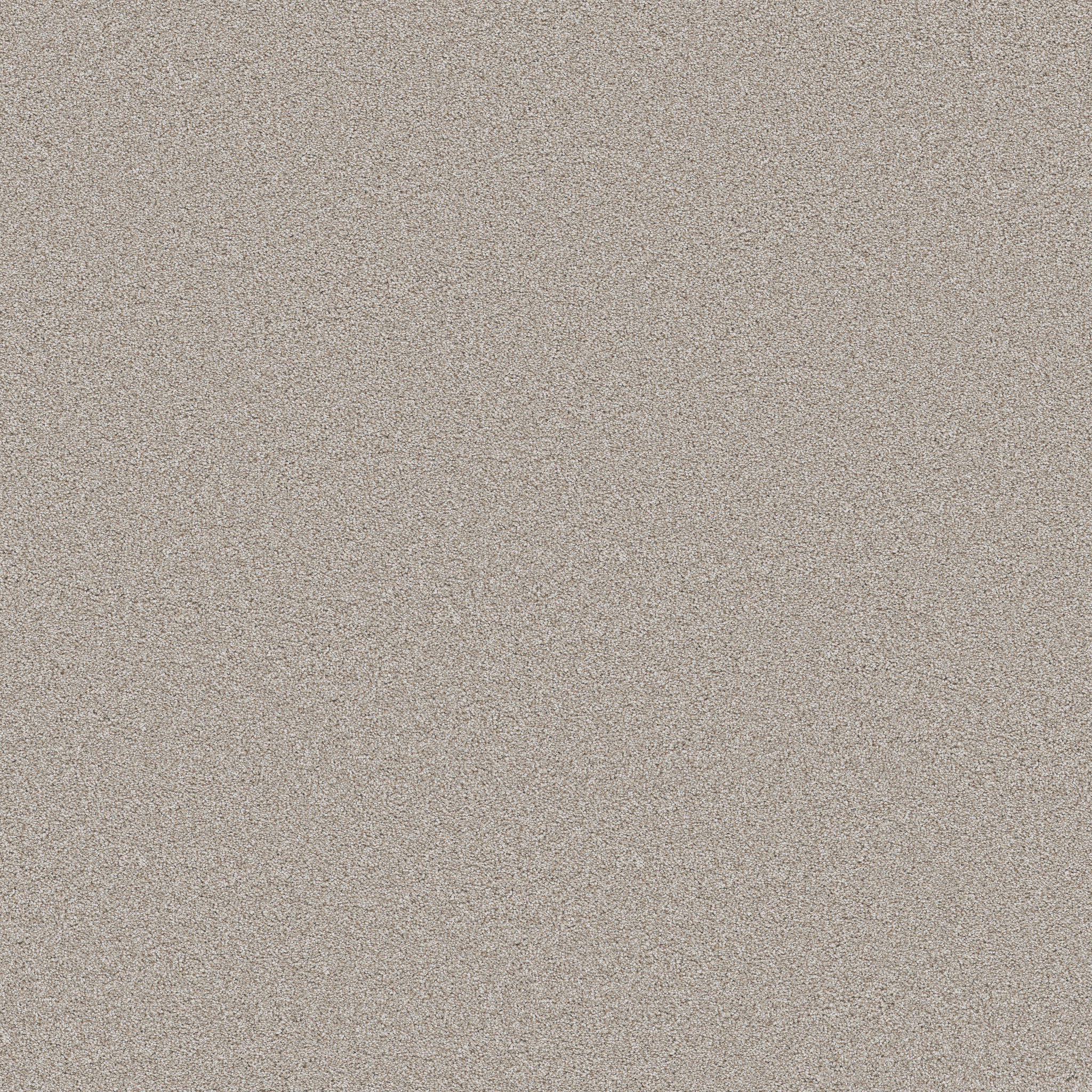 BLENDED TOUCH II RAW SILK MAIN