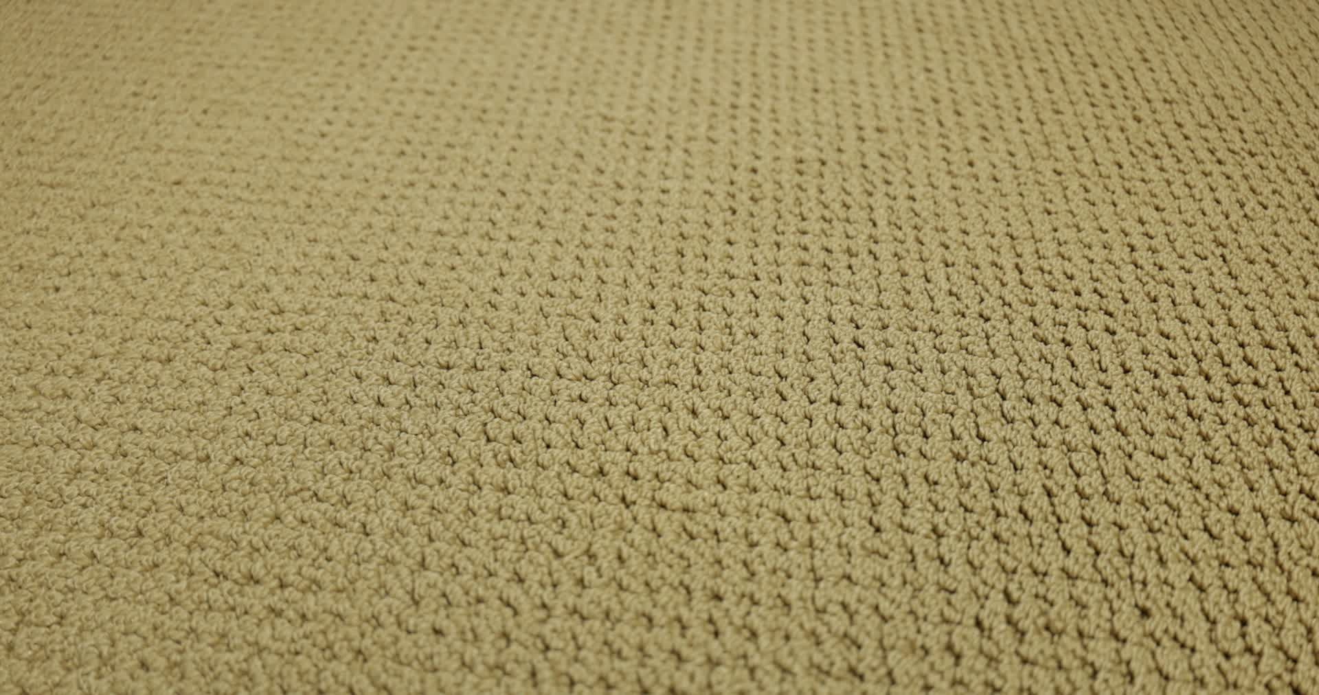 GRACIOUS SUMMER 360PROD