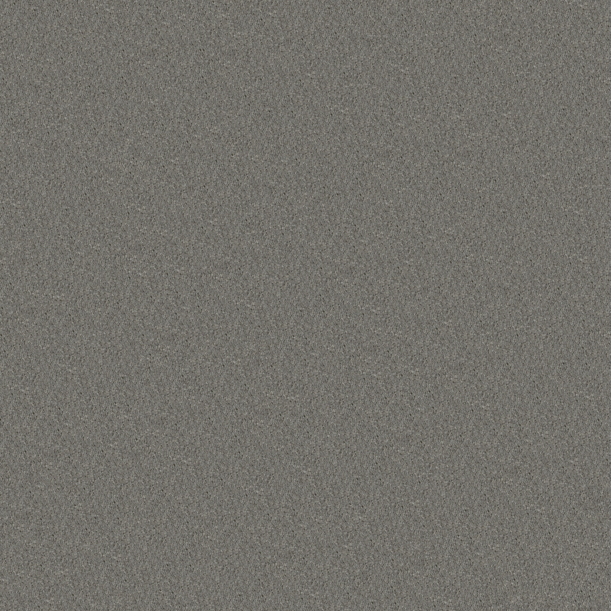 DESIGNER'S CHOICE NICKEL MAIN