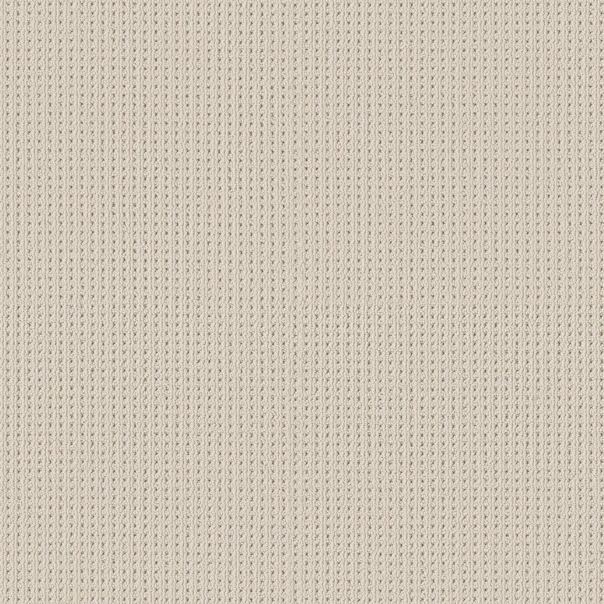 San Antonio in White Blush