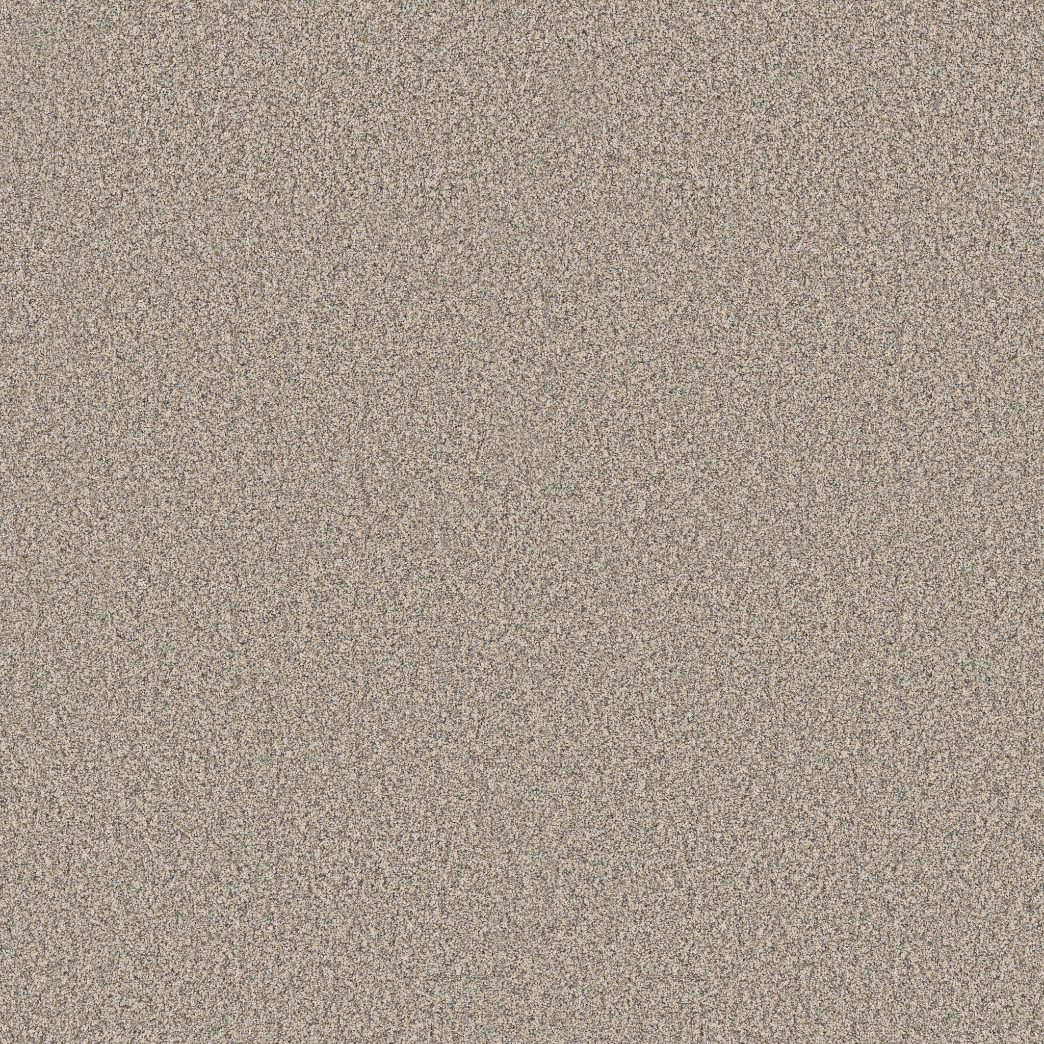 TIMELESS TONE BLUE SAFARI MAIN