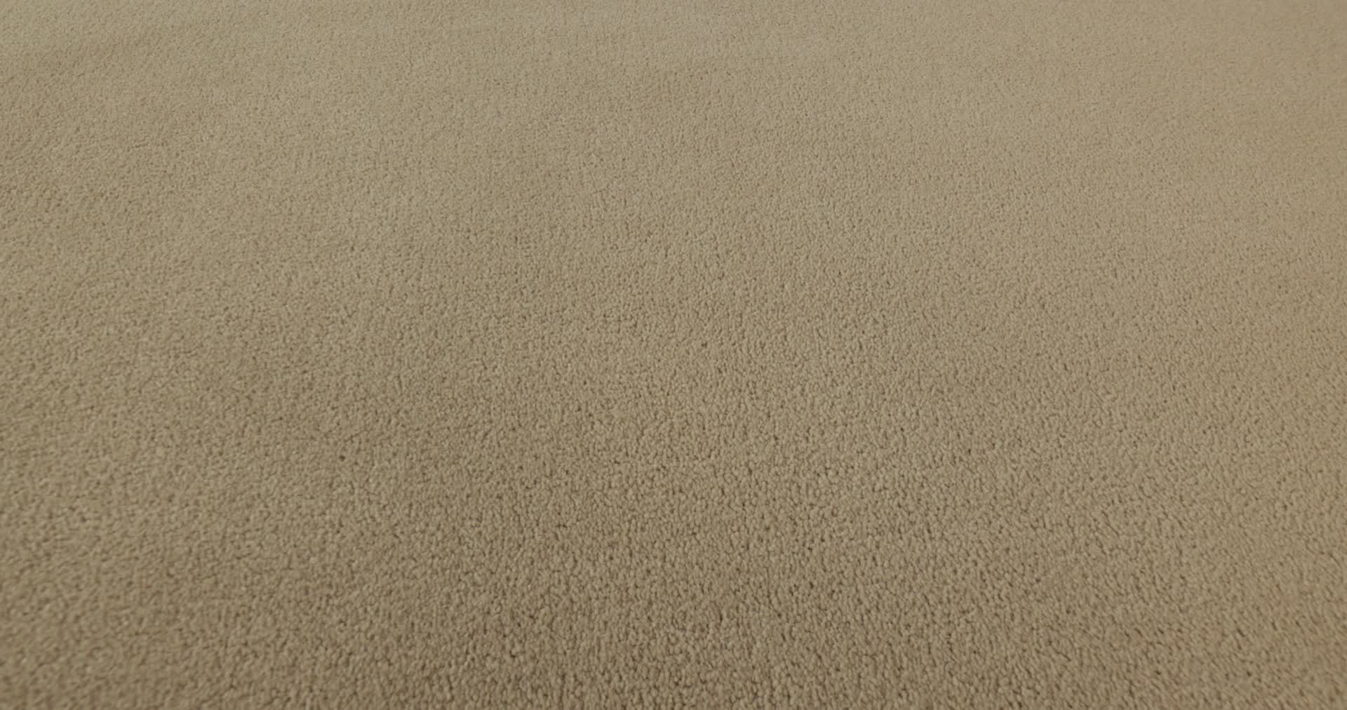 PERFECT CHOICE SUGAR COOKIE 360PROD