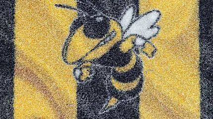 Vibrant bee-themed carpet for playful interiors Yellow and black striped carpet with bee design