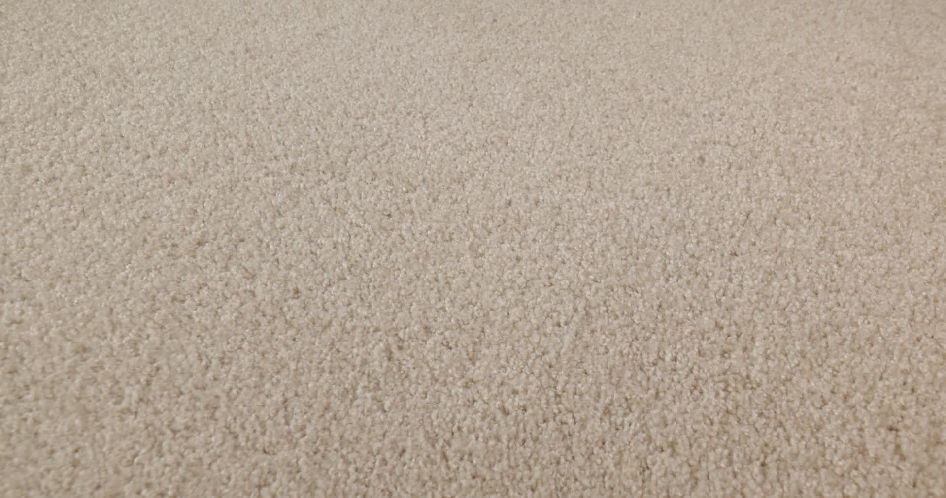 DYNAMIC WORLD 12 (S) FRESCO 360PROD