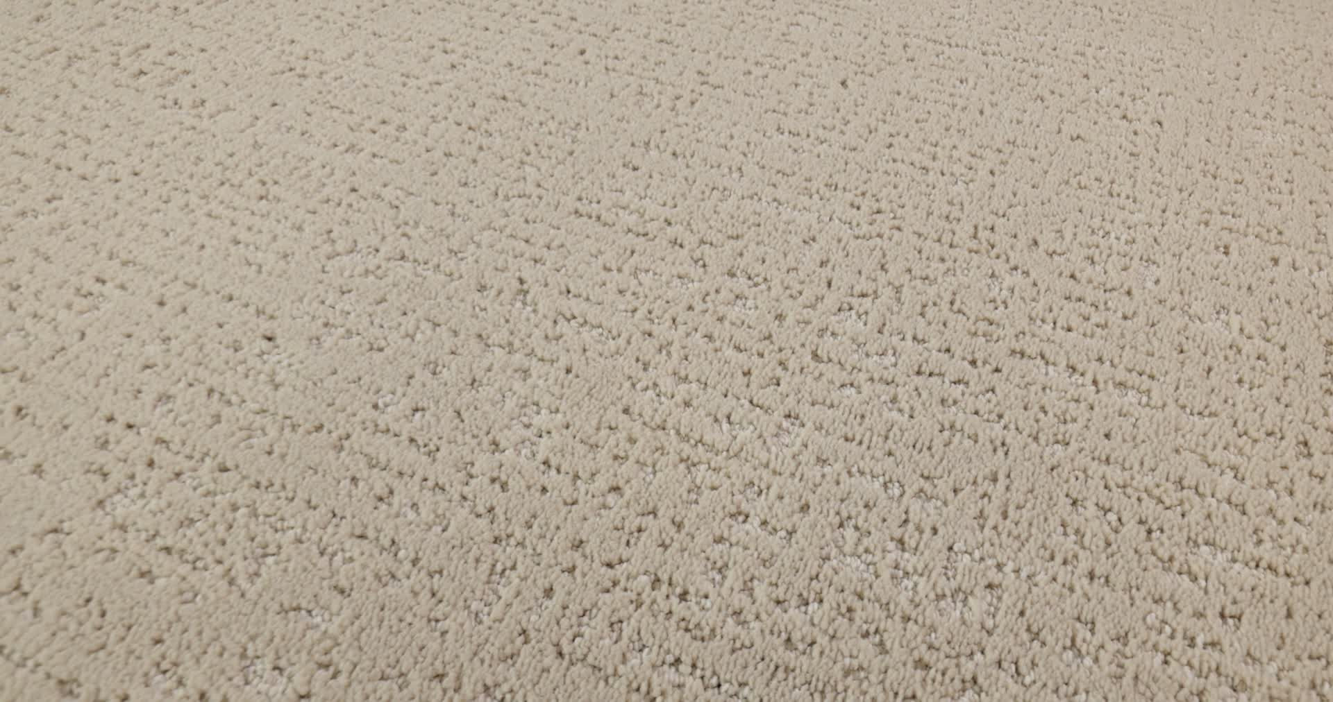 CURATED TONE BLUE BAJA 360PROD