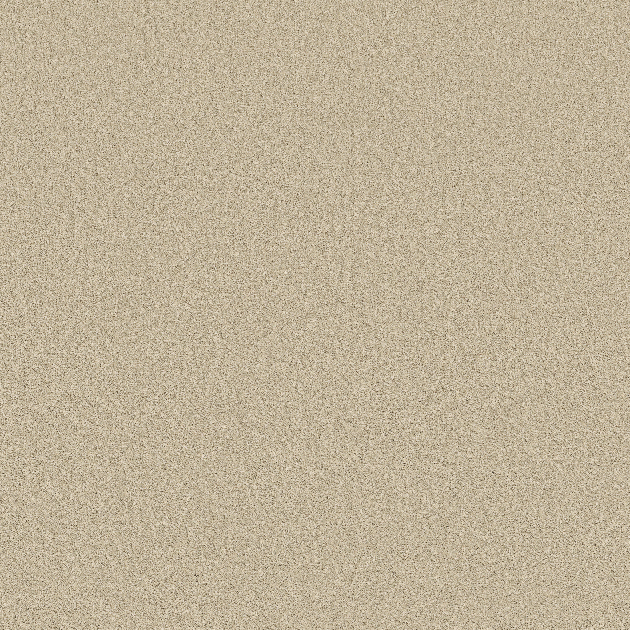 ENDURING COMFORT III PALE CREAM MAIN