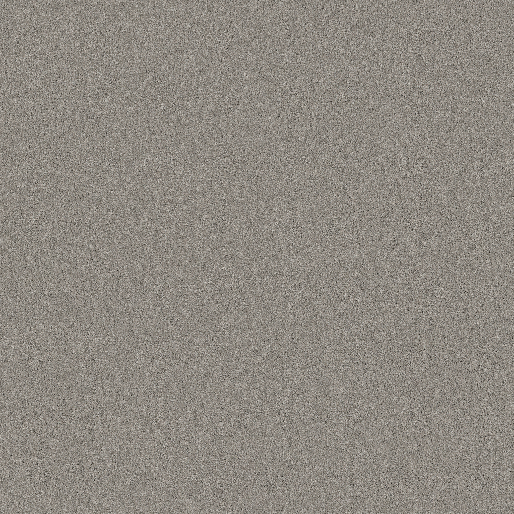 SWEET INSPIRATION II TEMPTING TAUPE MAIN