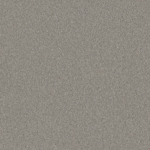 Tempting Taupe 00724