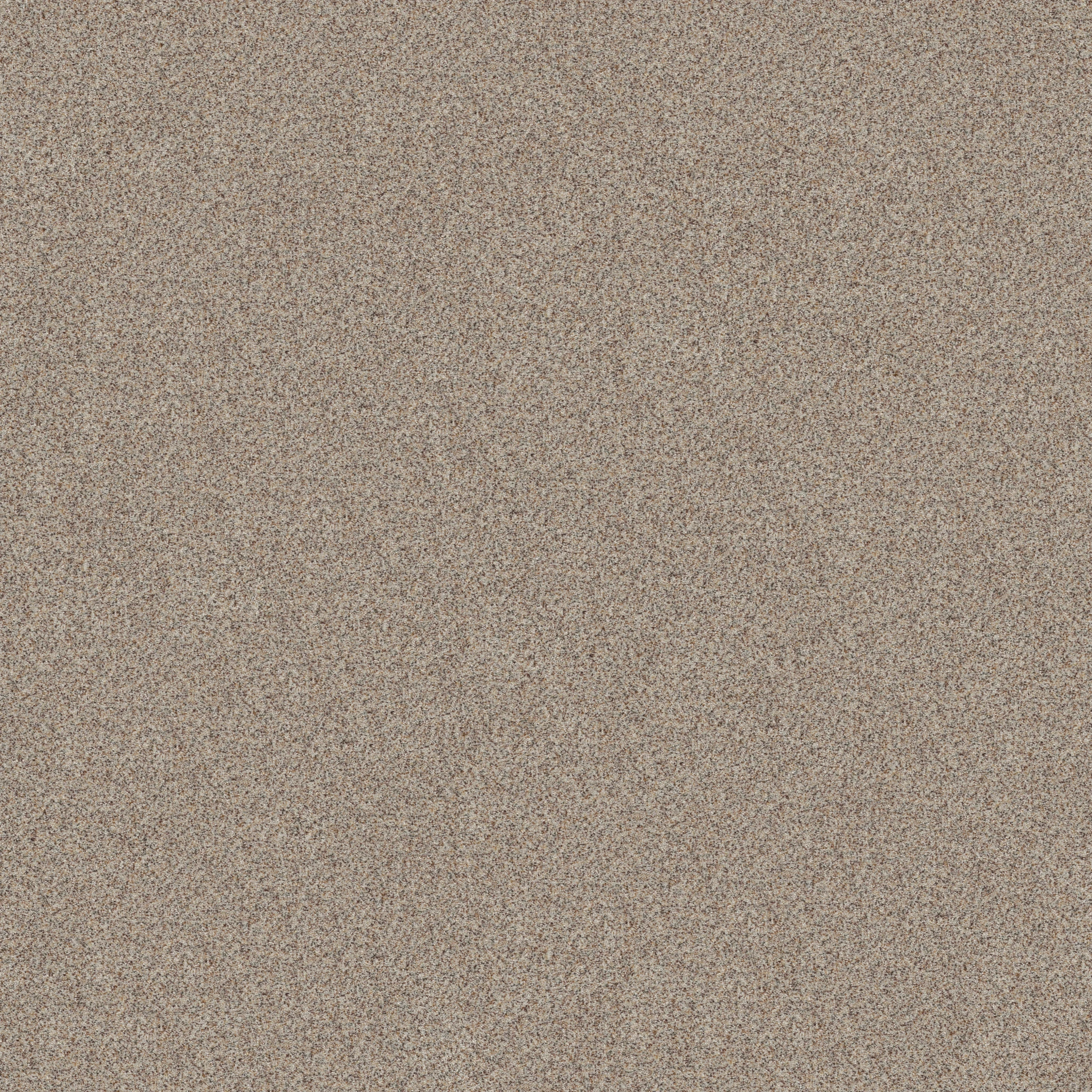 Beige and taupe patterned carpet swatch showcasing a blend of neutral tones for a cozy home environment
