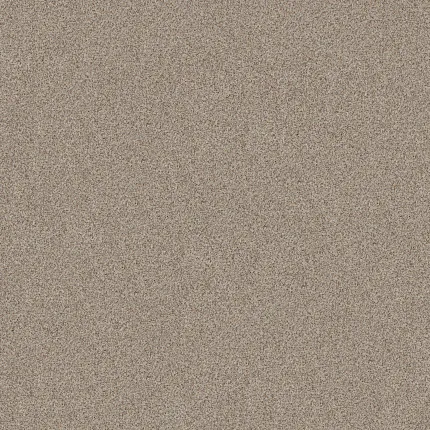 Durable and easy-to-maintain beige and taupe carpet for everyday comfort Beige and taupe patterned carpet swatch showcasing a blend of neutral tones for a cozy home environment