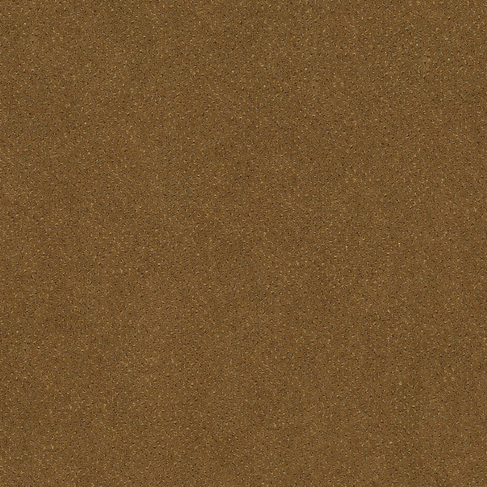 FUTURE-GENERATIONS-54644-GOLDEN-AGE-44201-main-image