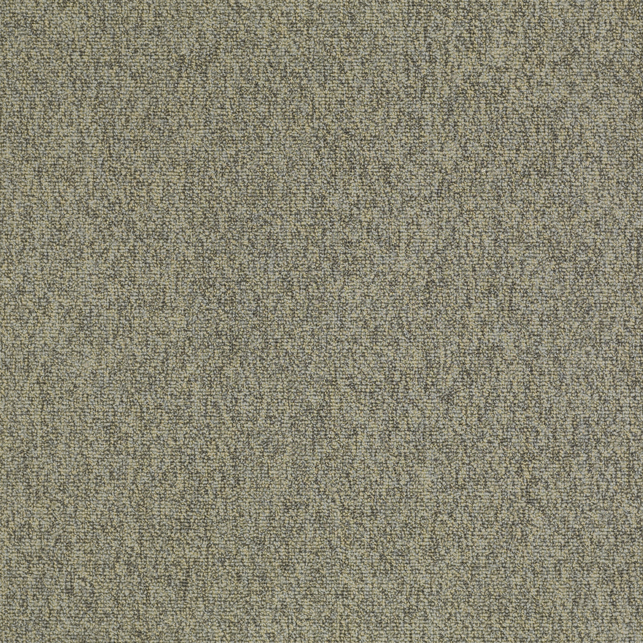 MULTIPLICITY-24X24-54594-BATCH-00500-main-image