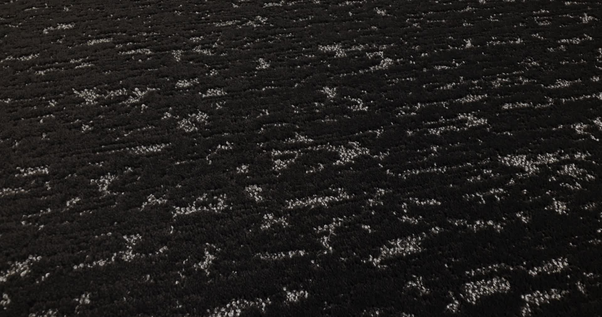 CALM EXPRESSION BISON 360PROD