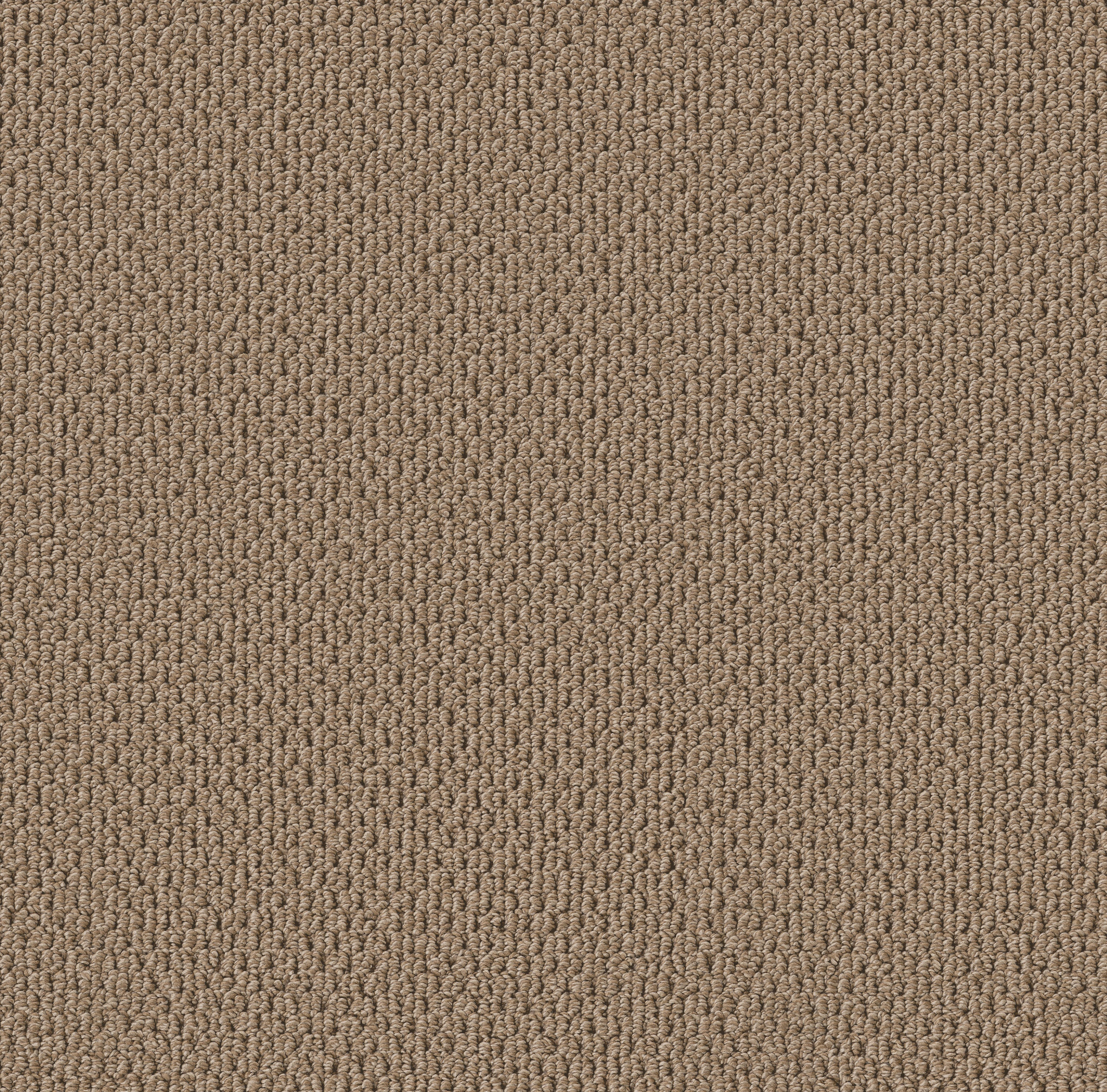 PERSPECTIVE PATH TAVERN CREEK MAIN