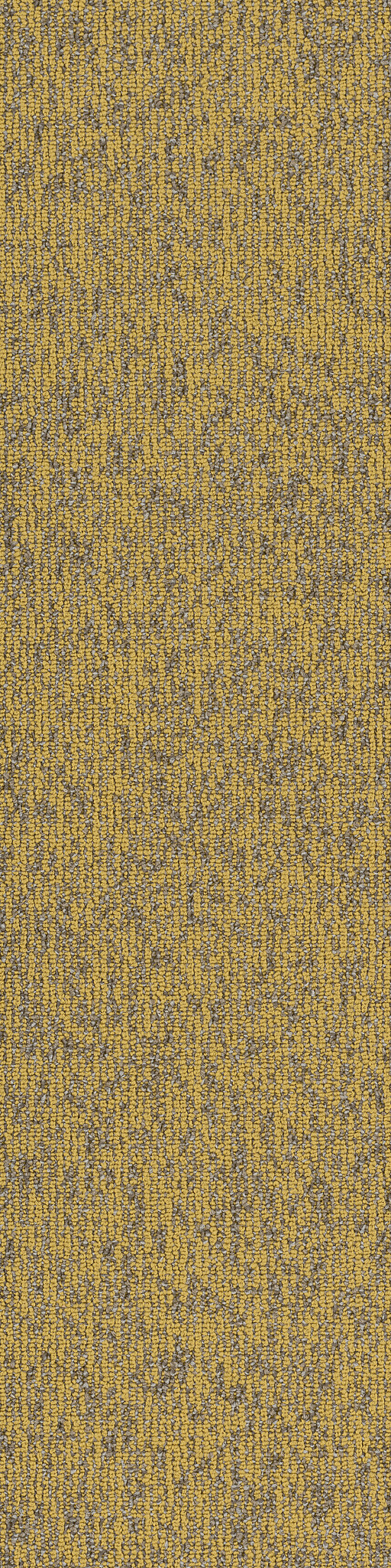 BASIN-54847-MONADNOCK-00220-main-image