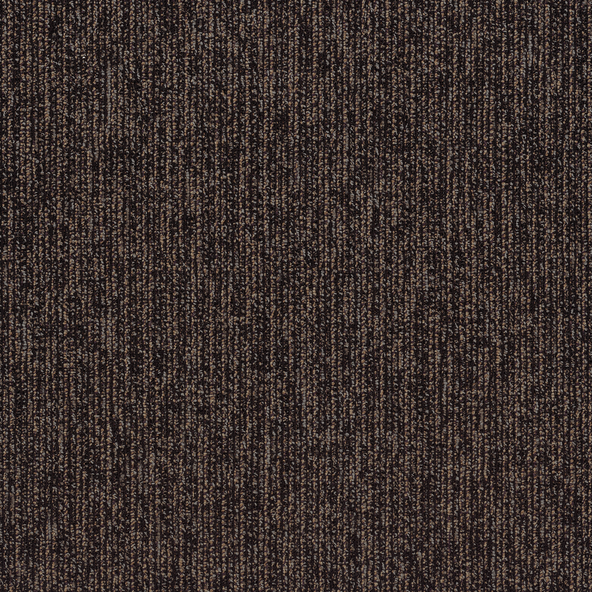 STEP-RIGHT-IN-54860-SASHAY-00502-main-image