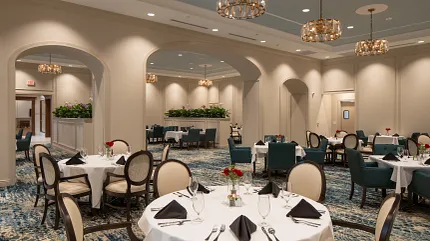 Sophisticated carpet design for upscale dining spaces Elegant dining room with patterned carpet flooring