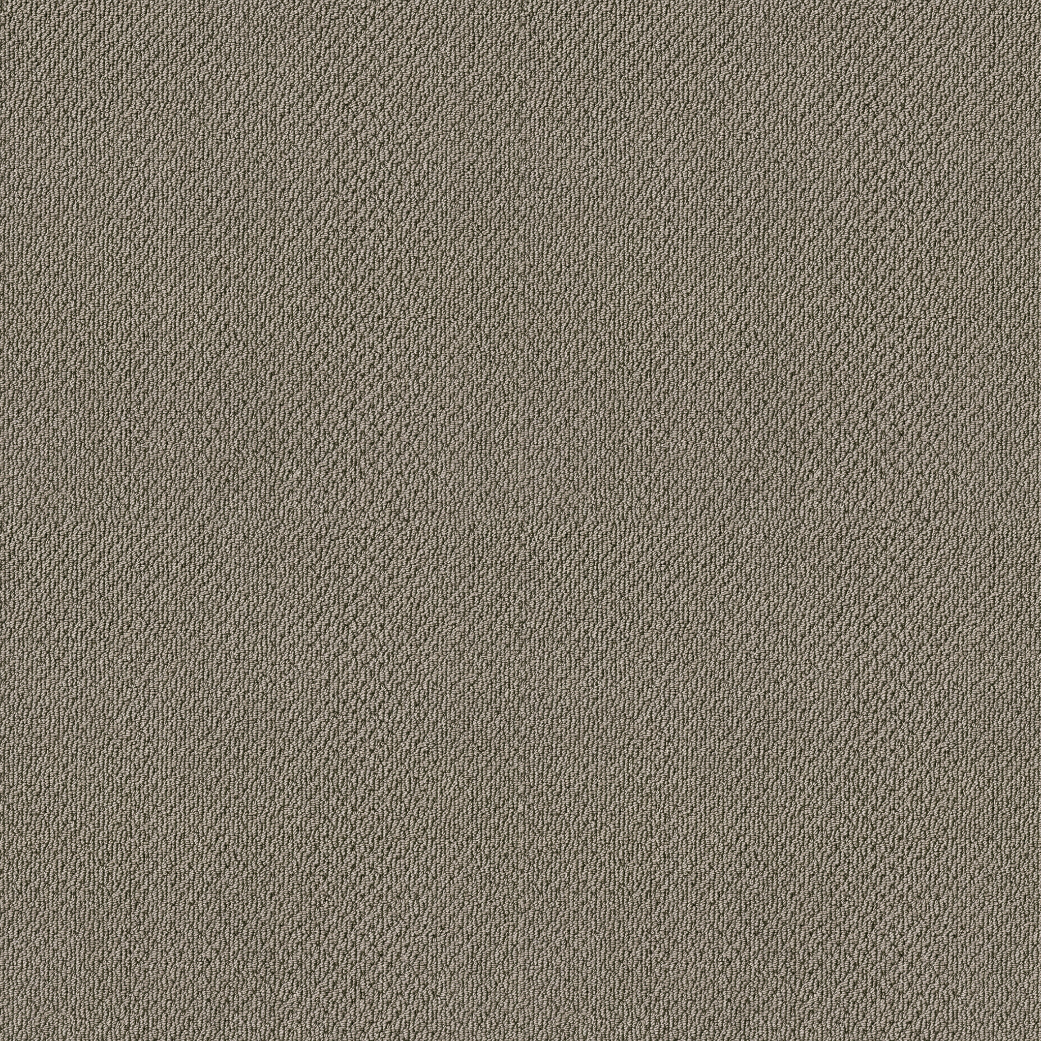 SUBTLE SHIMMER LOOP ROCKY COAST MAIN