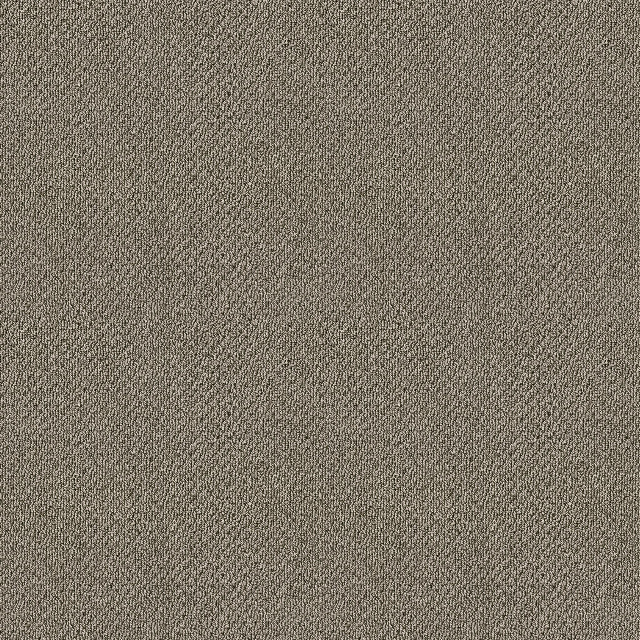 Subtle Shimmer Loop in Rocky Coast