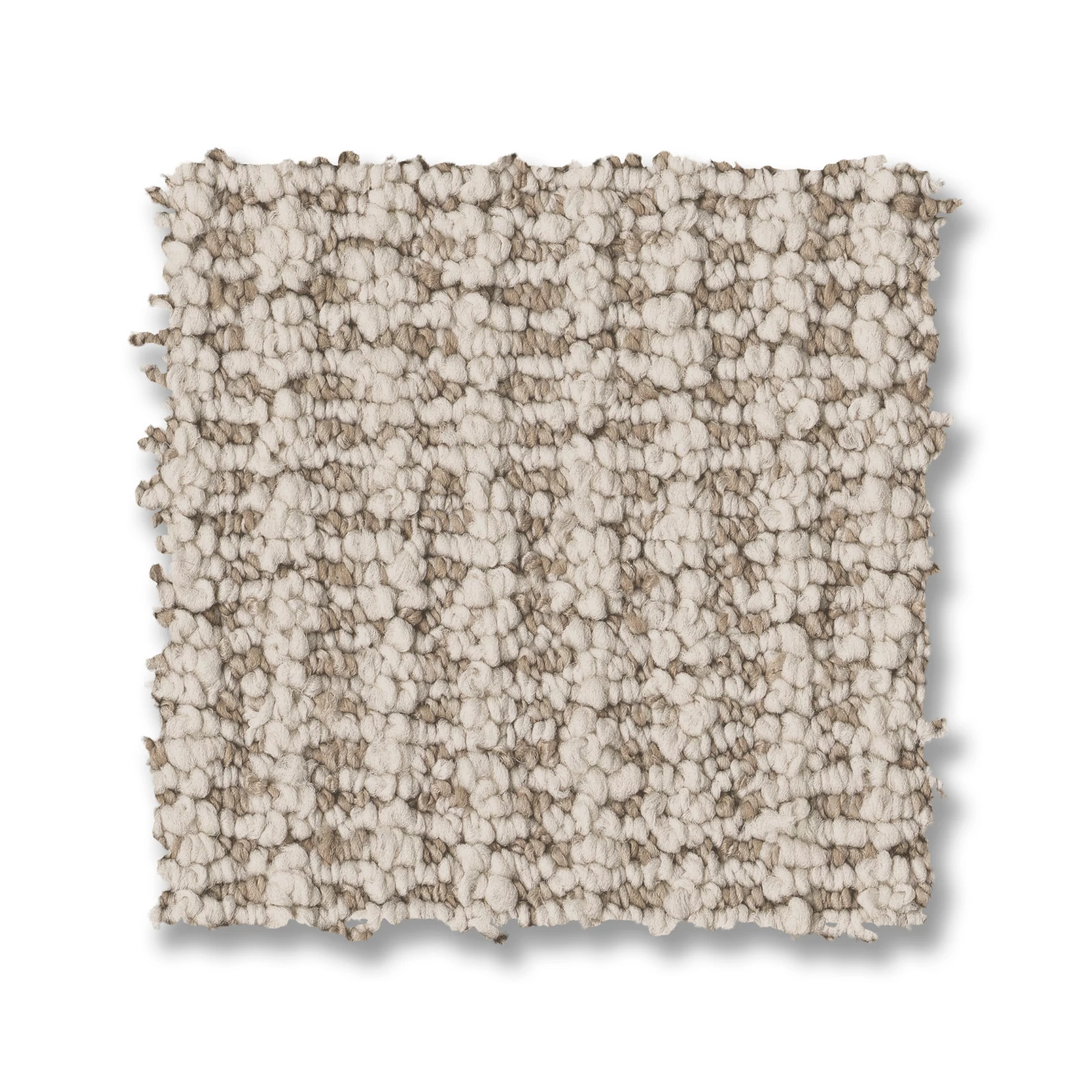 LAINE SAND DOLLAR SWATCH