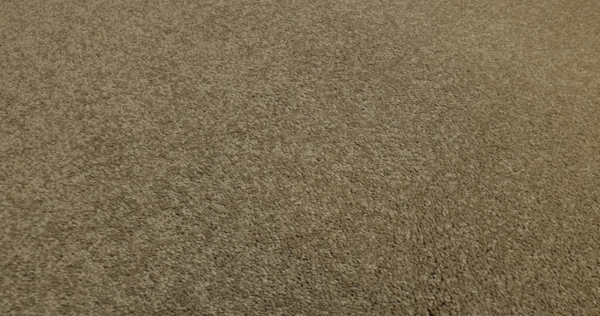 TIMELESS APPEAL I 12' MOJAVE 360PROD