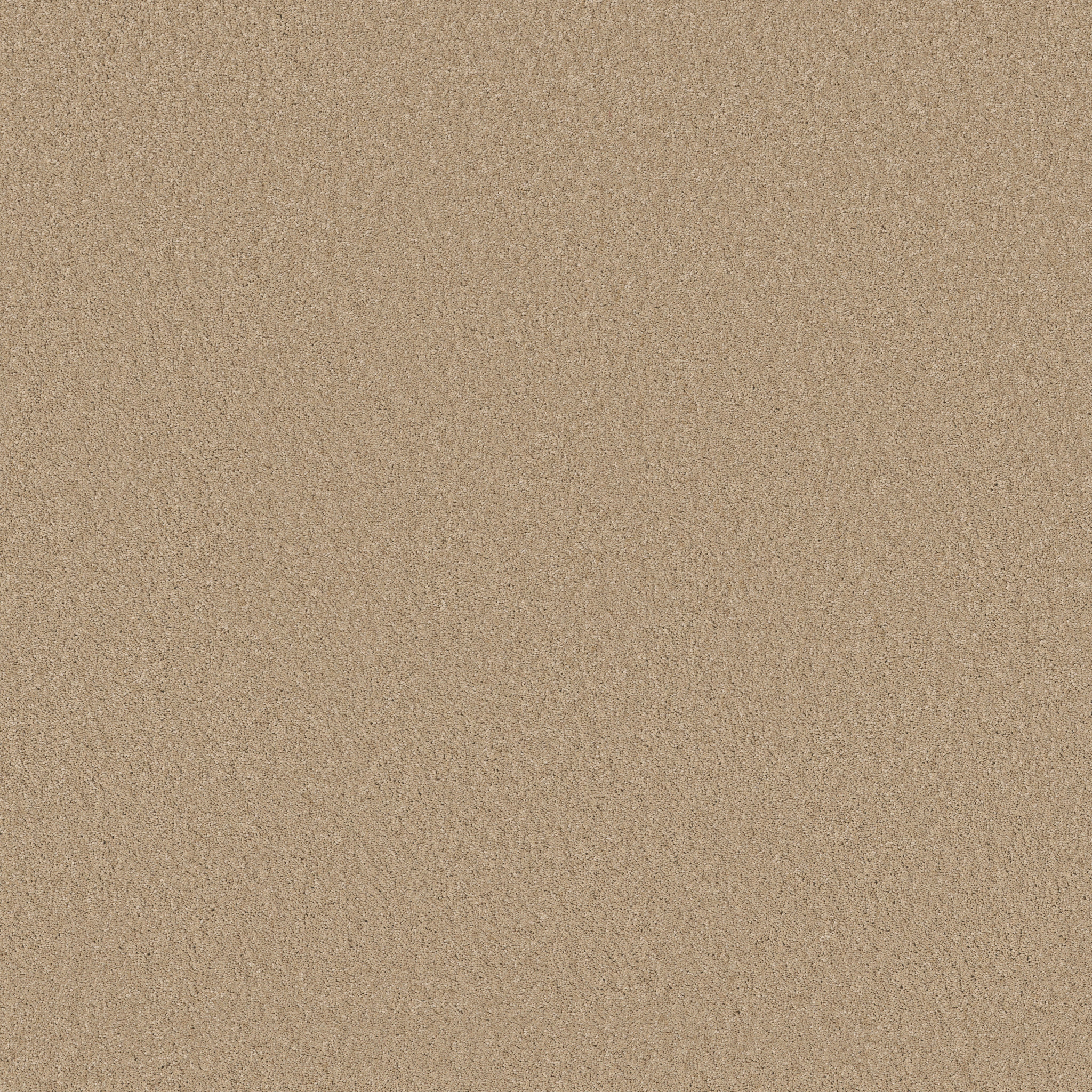 ENCHANTING TRANSPARENT MAIN