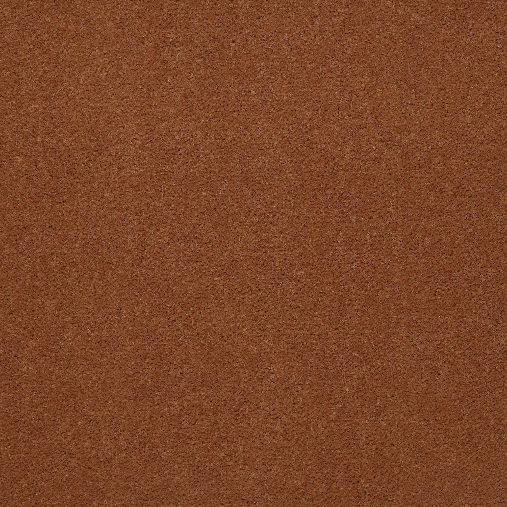 BAYTOWNE-III-30-J0064-TOAST-65291-main-image