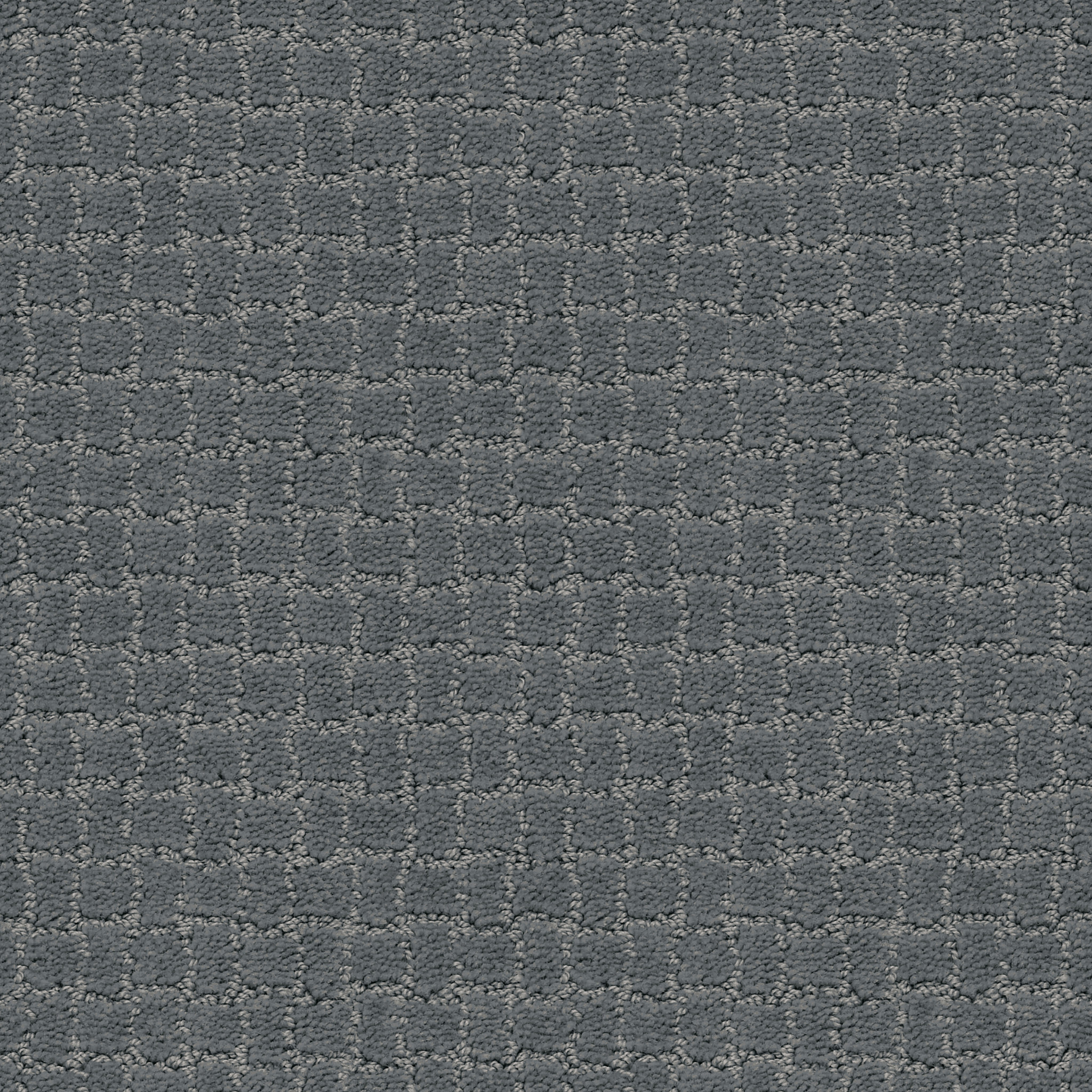 PAWSTRUCK STEEL WOOL MAIN