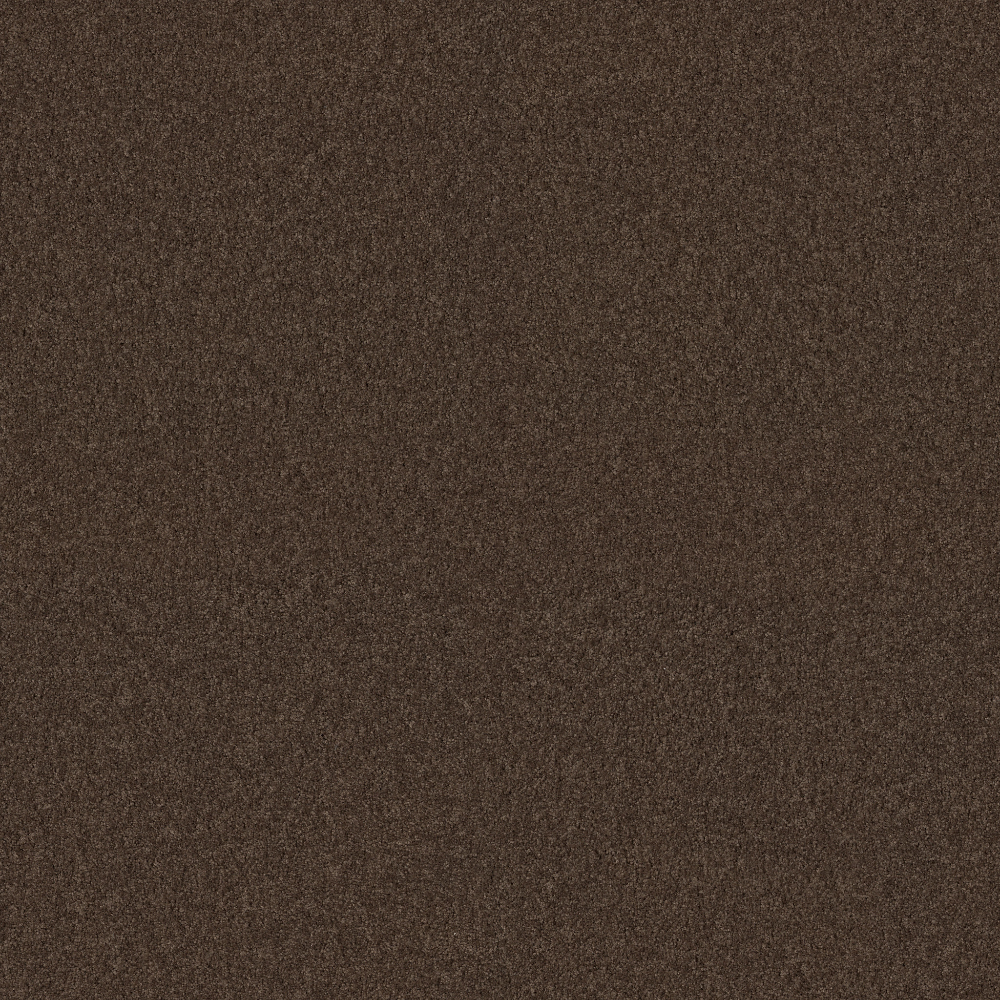 FANTASTICAL MAPLE MAIN