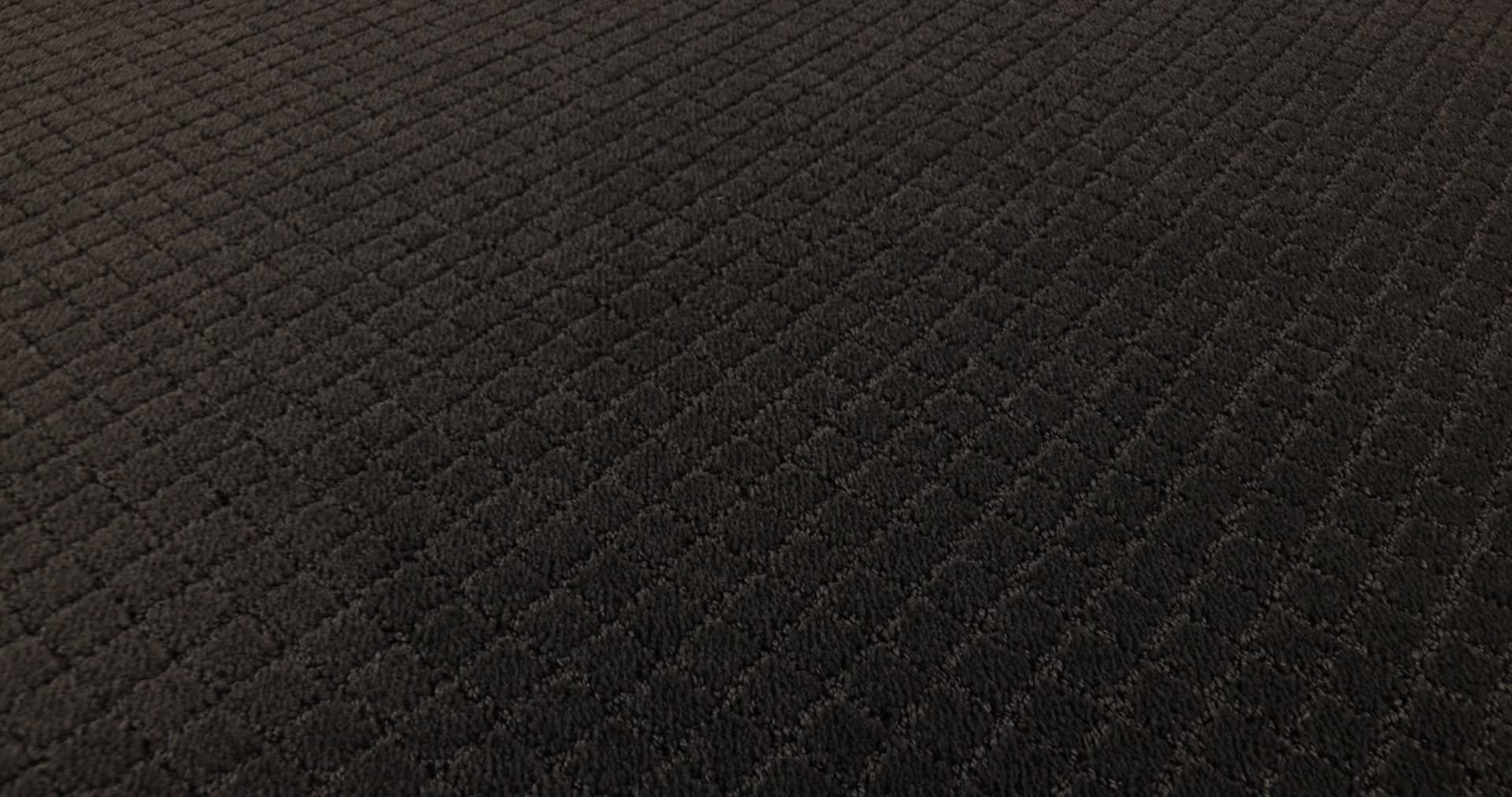 PAWNACHE NIGHT SHADE 360PROD