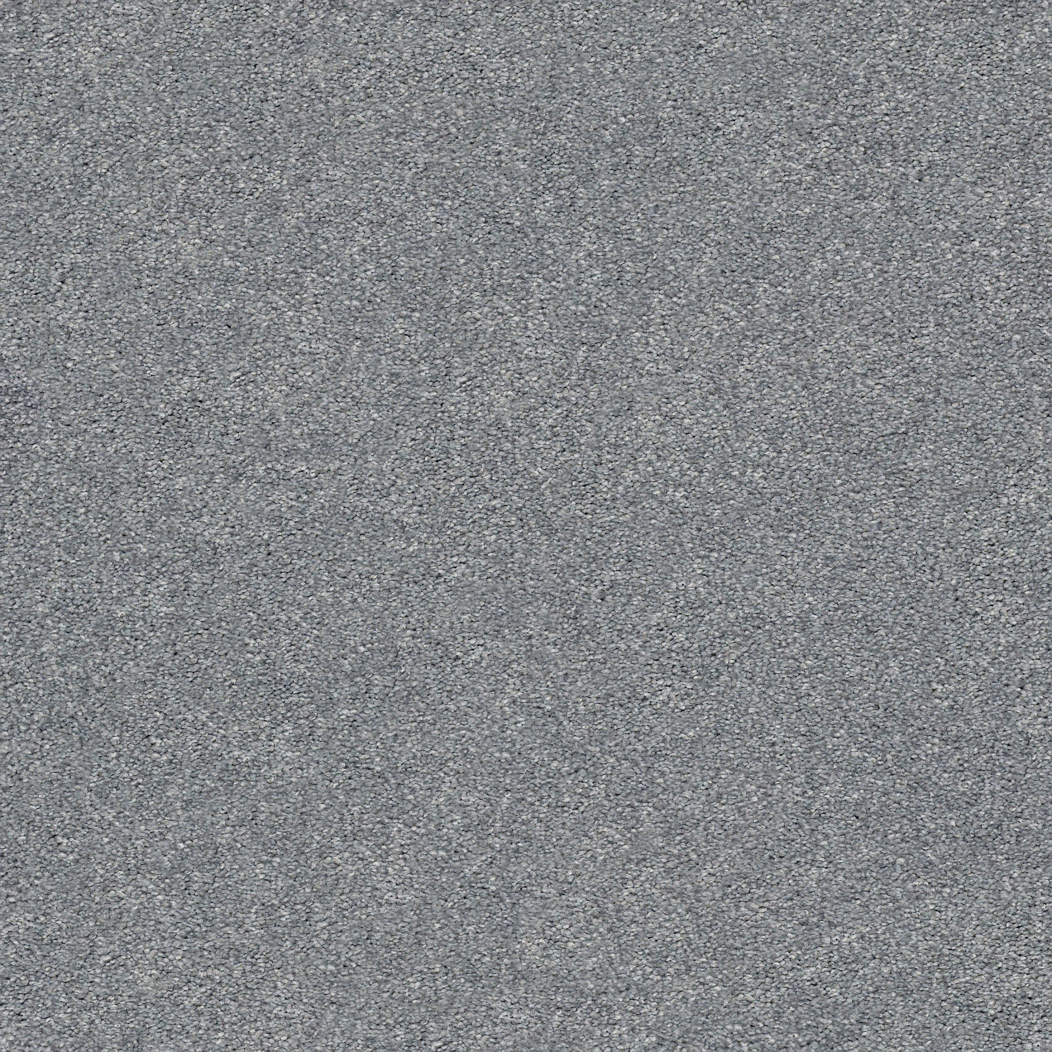 Find your comfort I - Solid DOLPHIN SIGHTIN MAIN