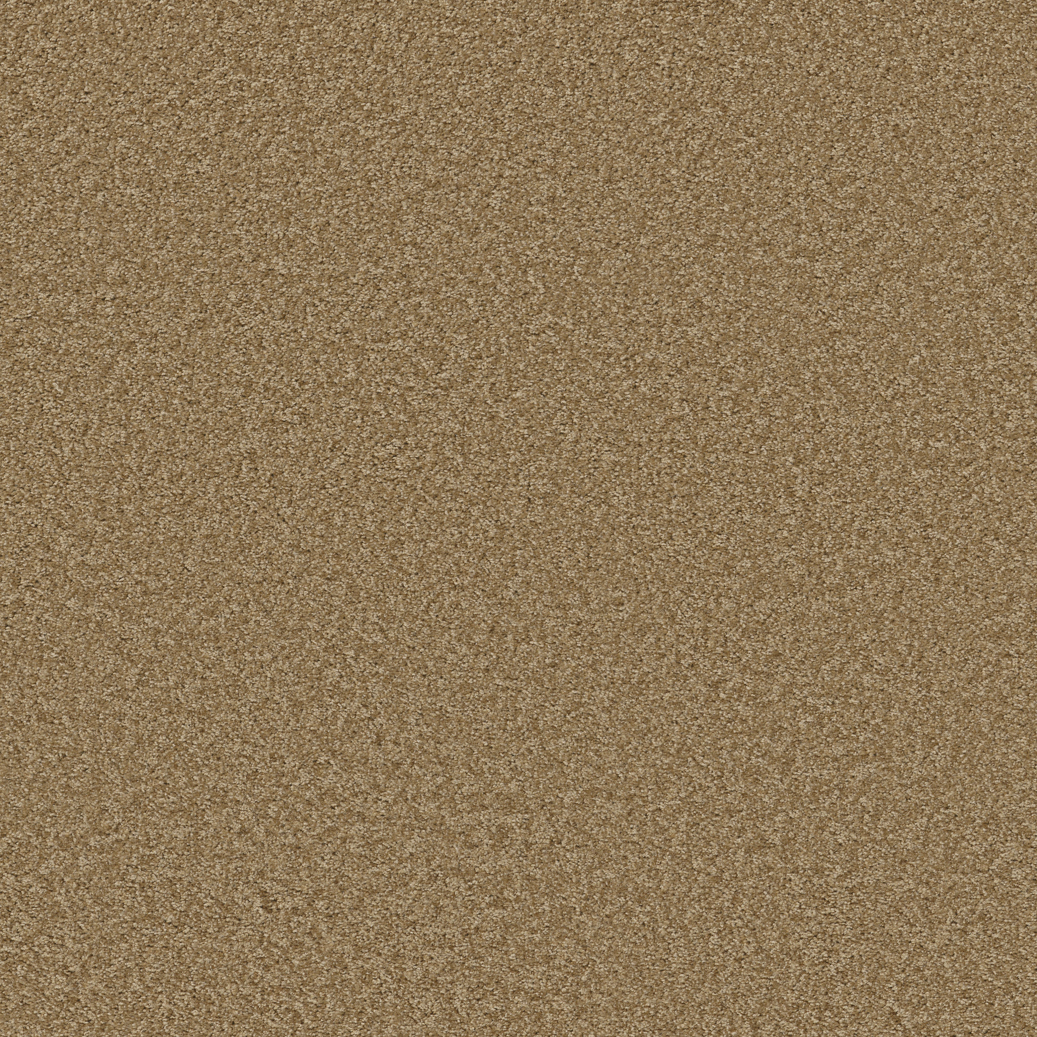 DAKOTA SPRINGS REED MAIN