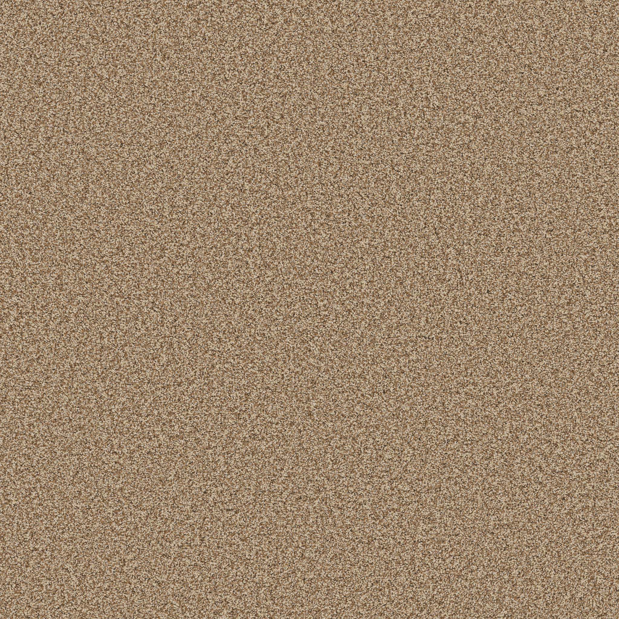 MIRA NOVA SAVANNAH MAIN