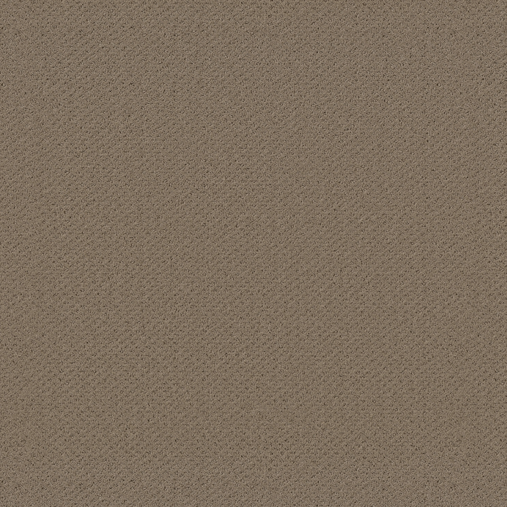 GENESIS PRAIRIE MAIN