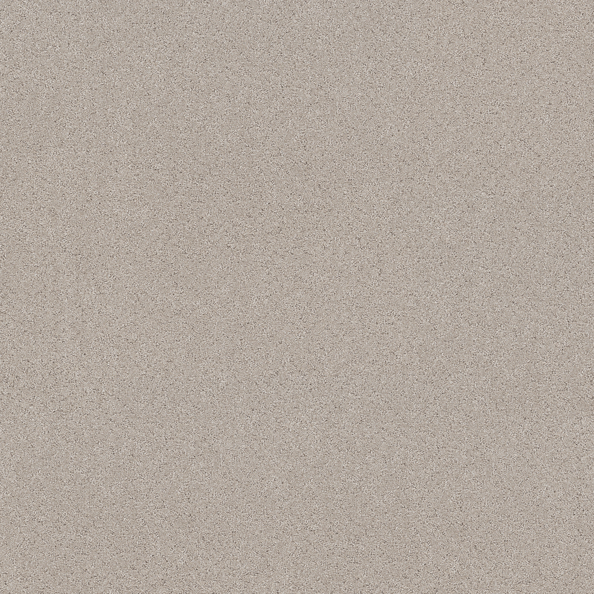 SECRET ADVENTURE BEIGE MIST MAIN