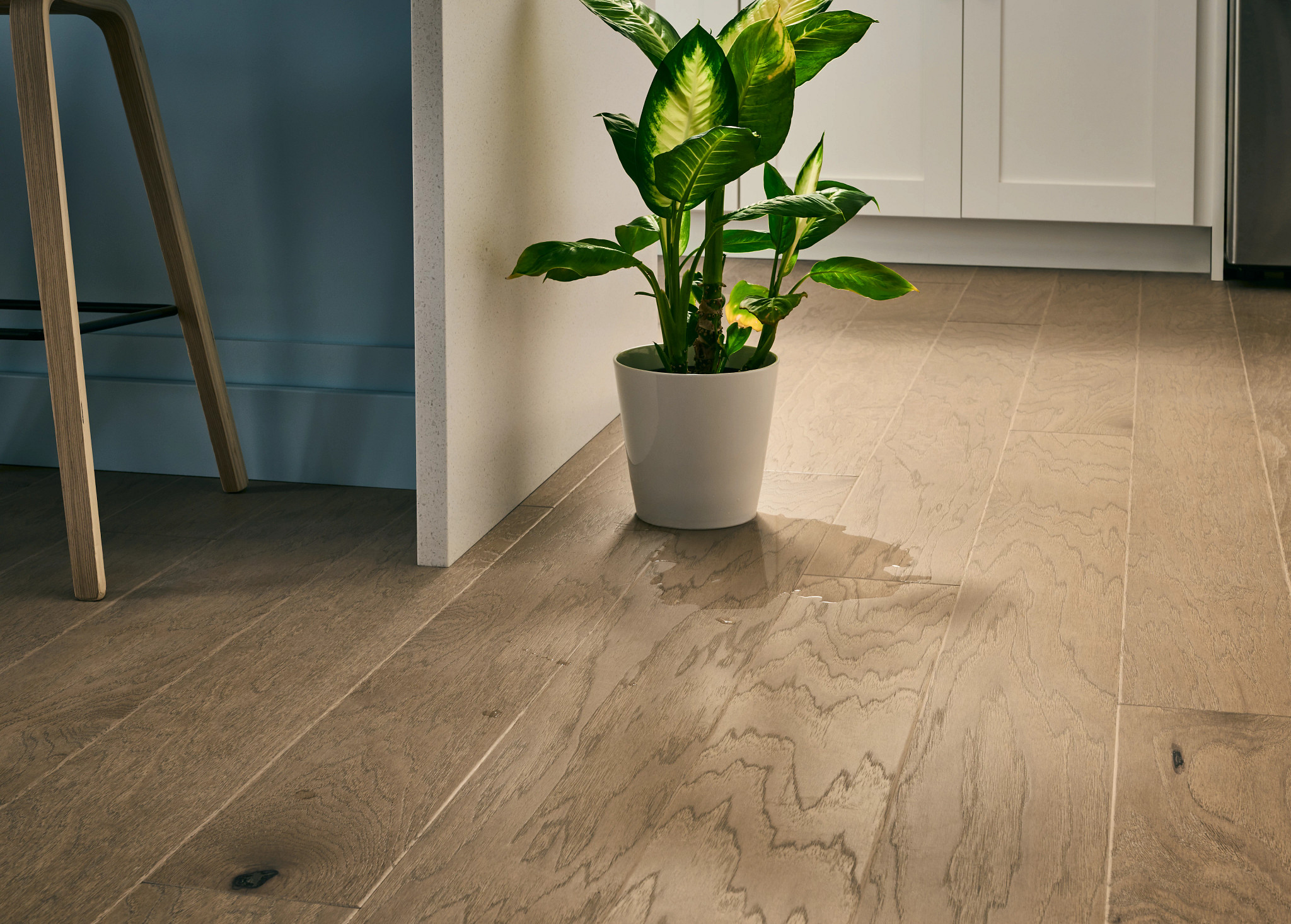 Splash-Proof Warranty 