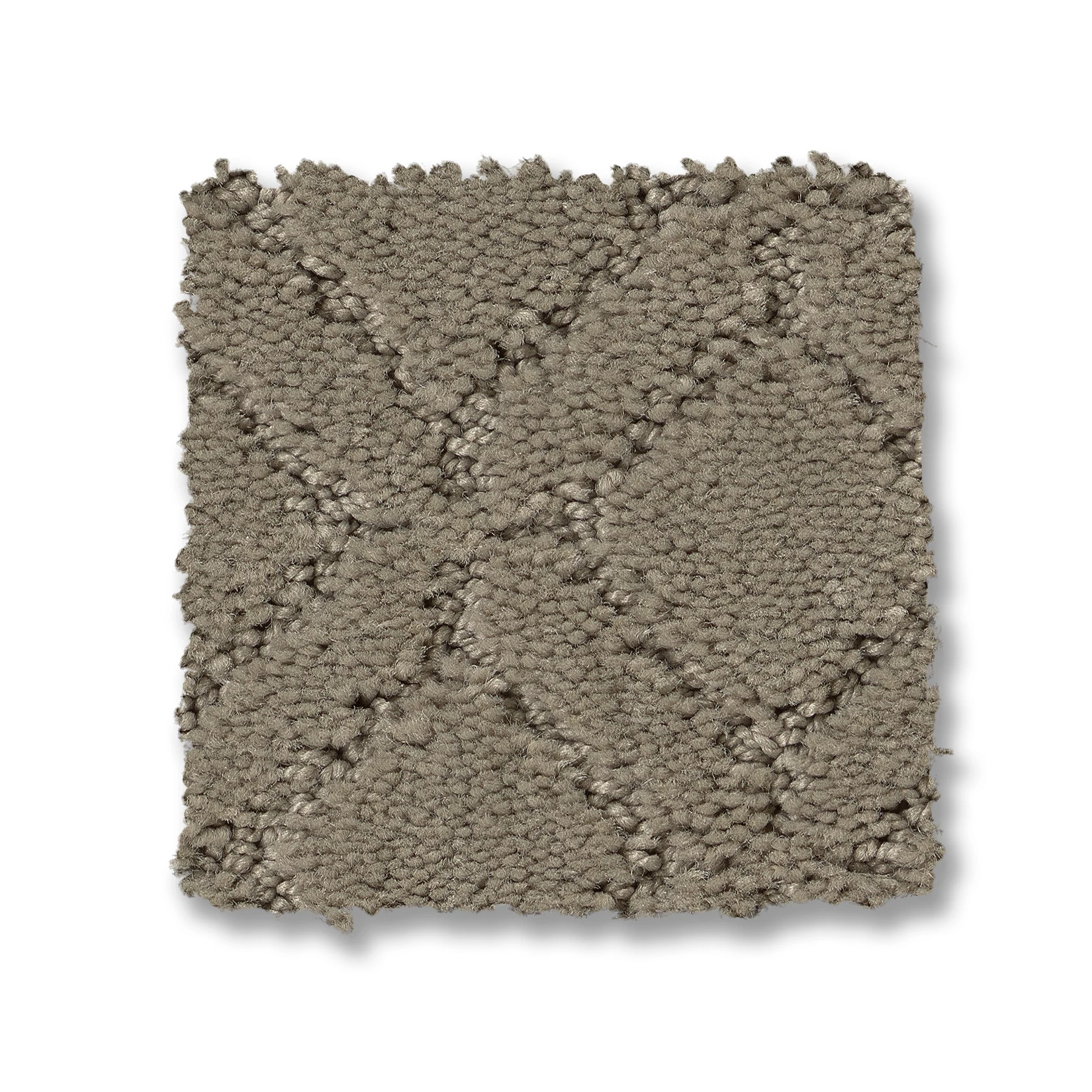 Muse - 100% Nylon in Reflection | AndersonTuftex