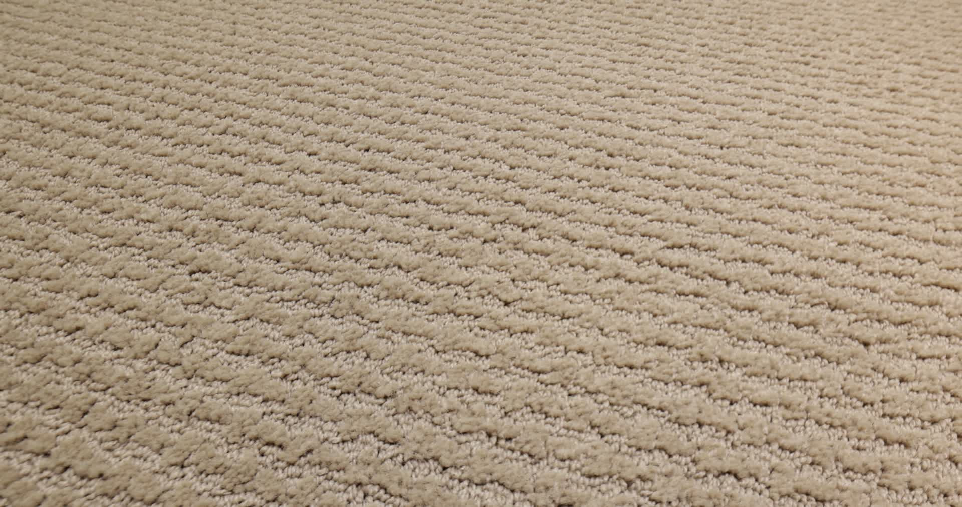 ACTIVATE MUSHROOM 360PROD