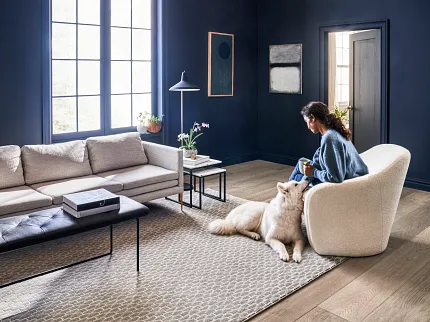 Beige Carpet and Hardwood Flooring in Stylish Living Room Elegant living room with beige carpet and hardwood flooring