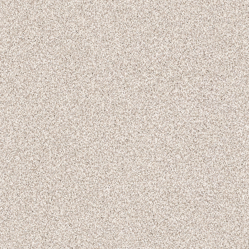 EXPLORATION in Parchment by Shaw Floors