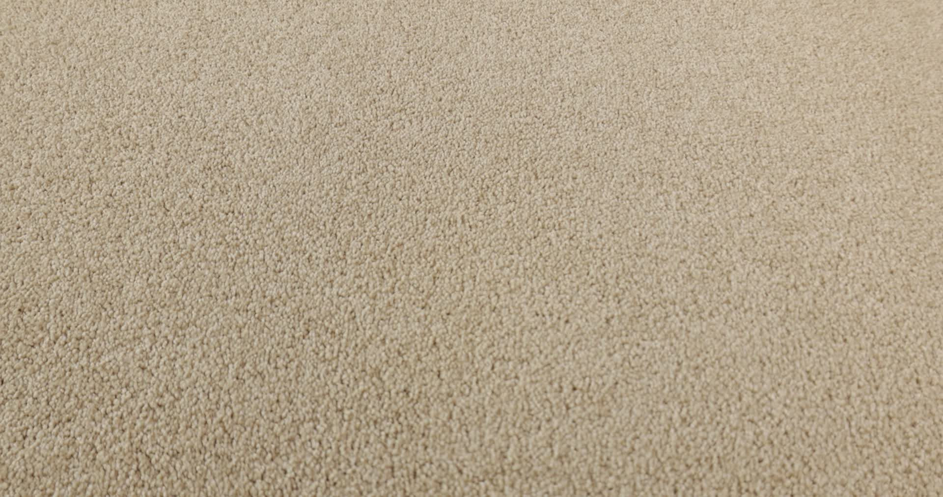 YOUR COMFORT I SUN KISSED 360PROD