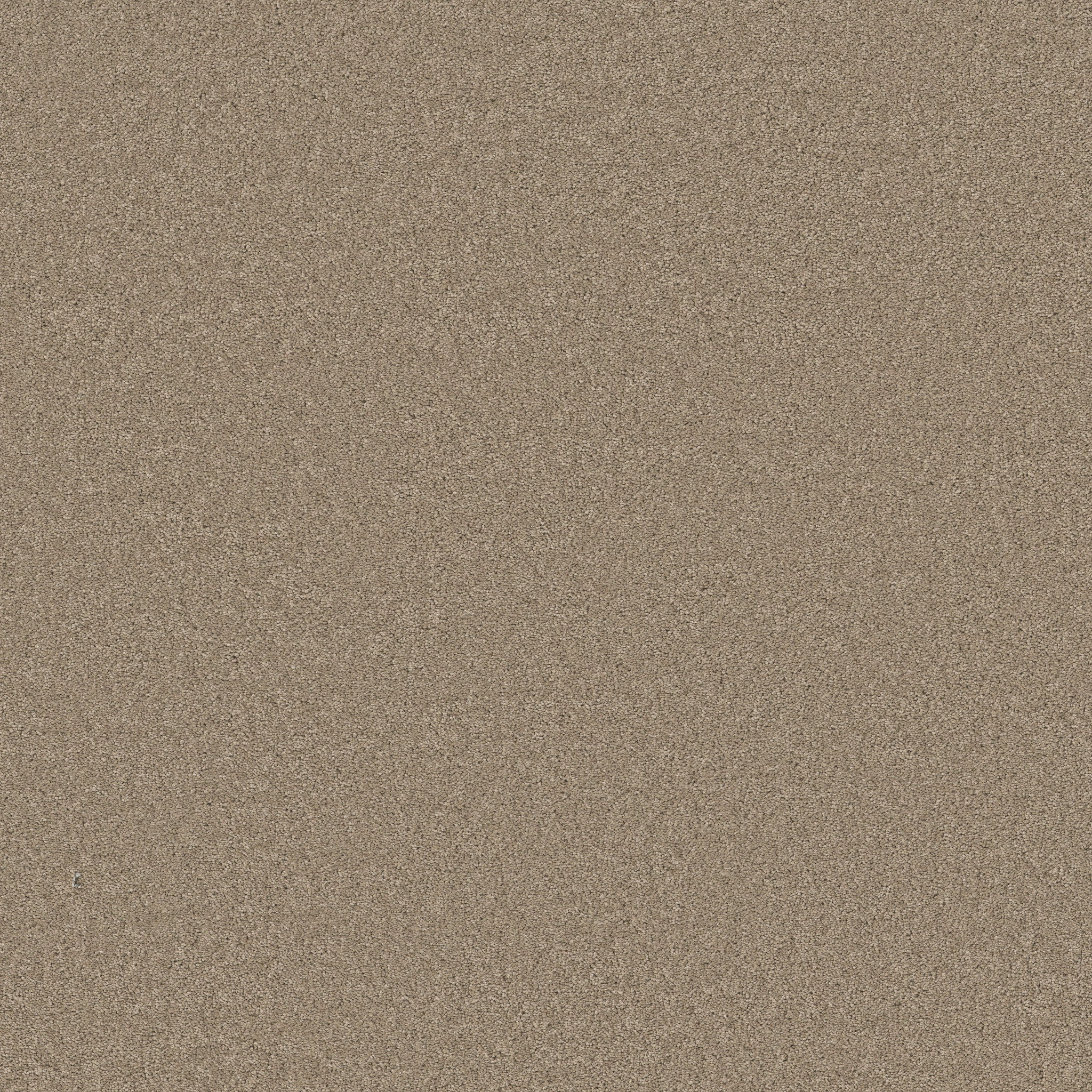 ELEGANT BEAUTY TUFFET MAIN