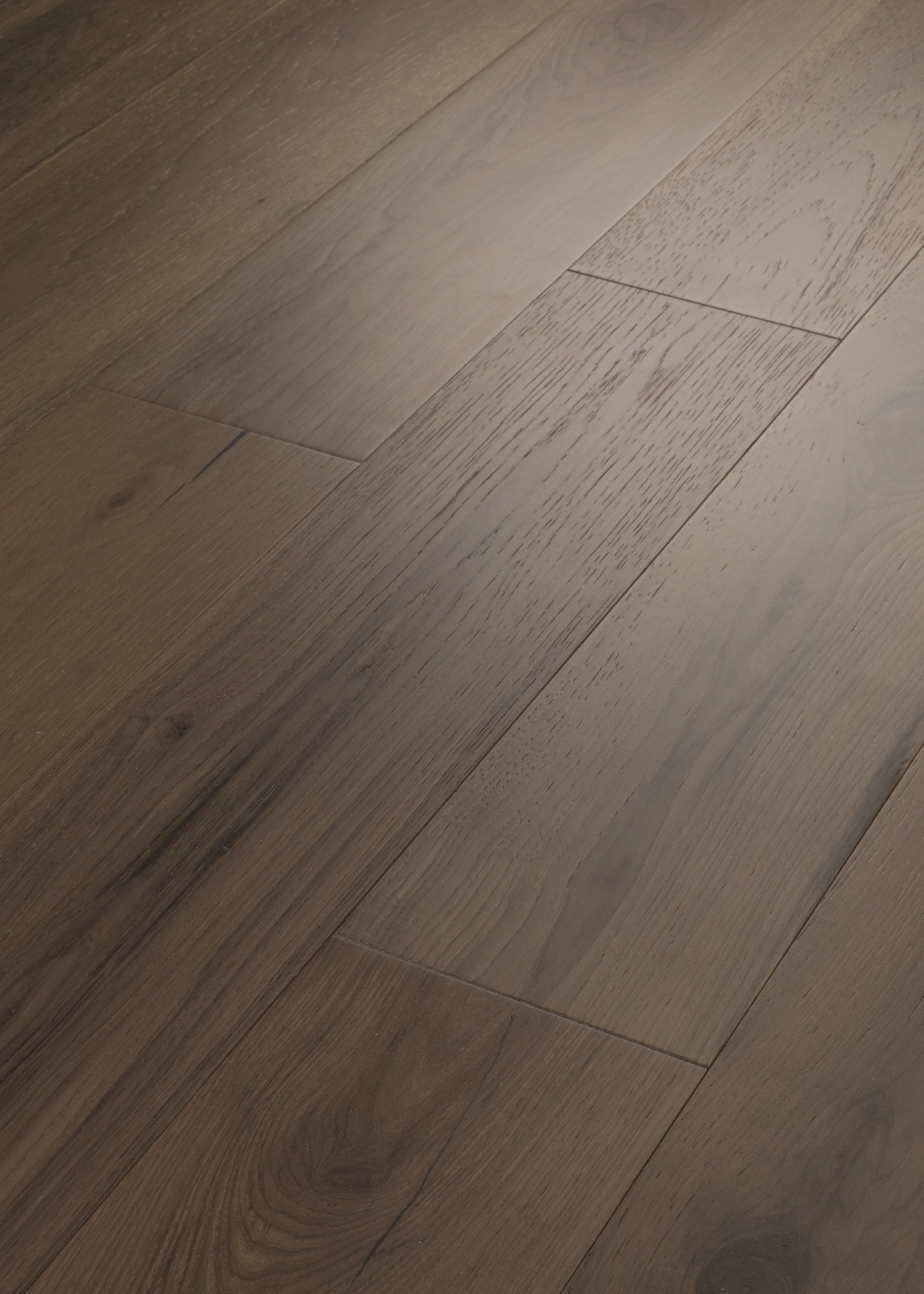 TRANSCENDENCE ELEVATION ANGLED