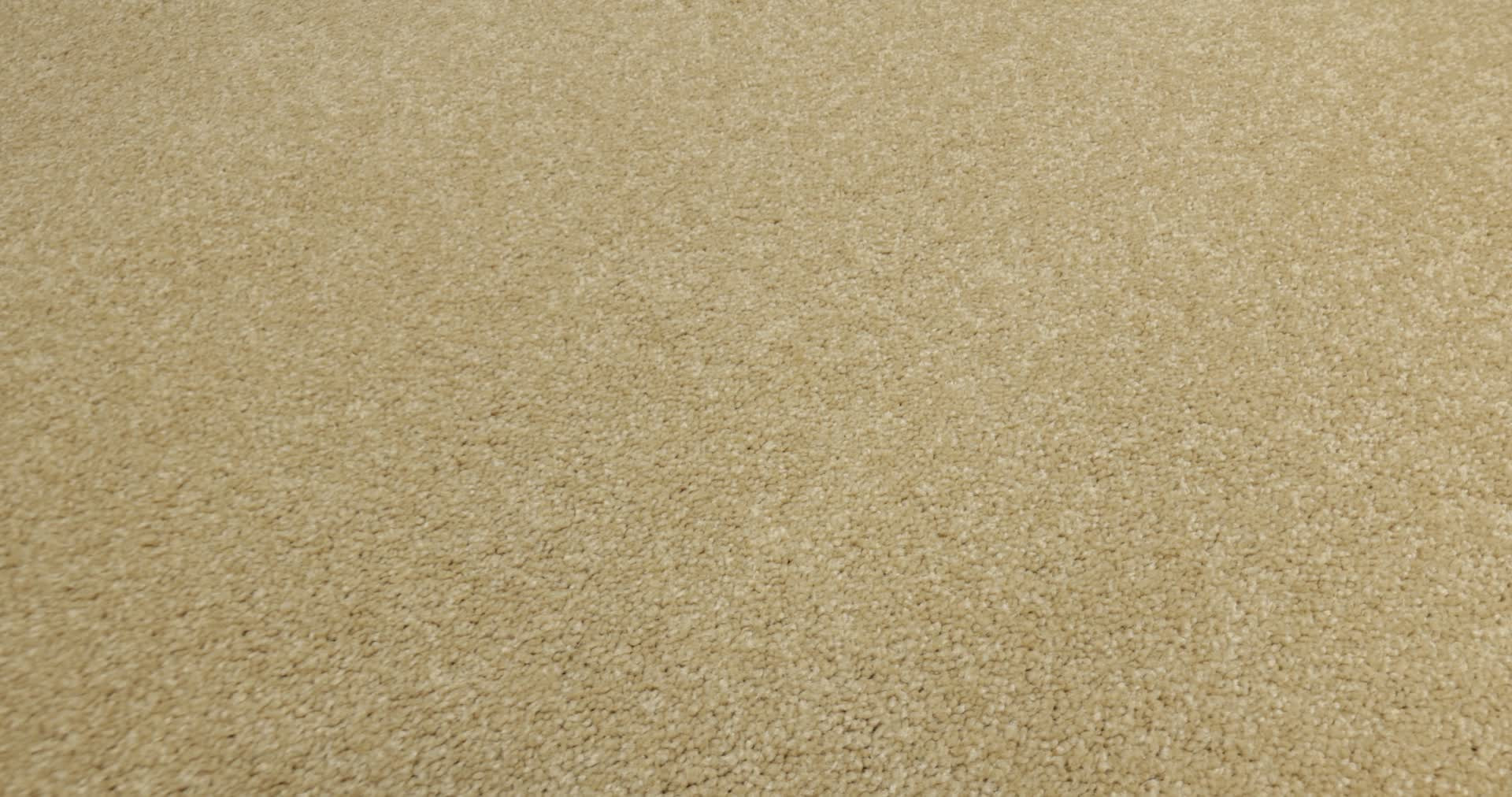 TIMELESS APPEAL I 12' CORNFIELD 360PROD